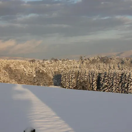 Group With Pool, Chevron Habiemont