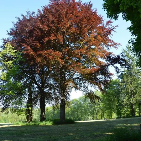 Group With Pool, Chevron * Habiemont