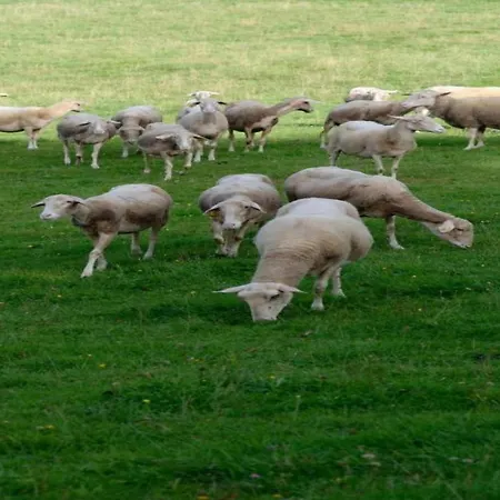 Group Stay With Pool, Chevron * Habiemont