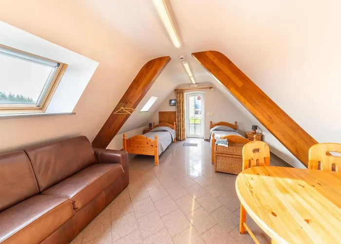 Vakantiehuis Villa Les Charmes Premium Villa With Pool For 20 Guests *